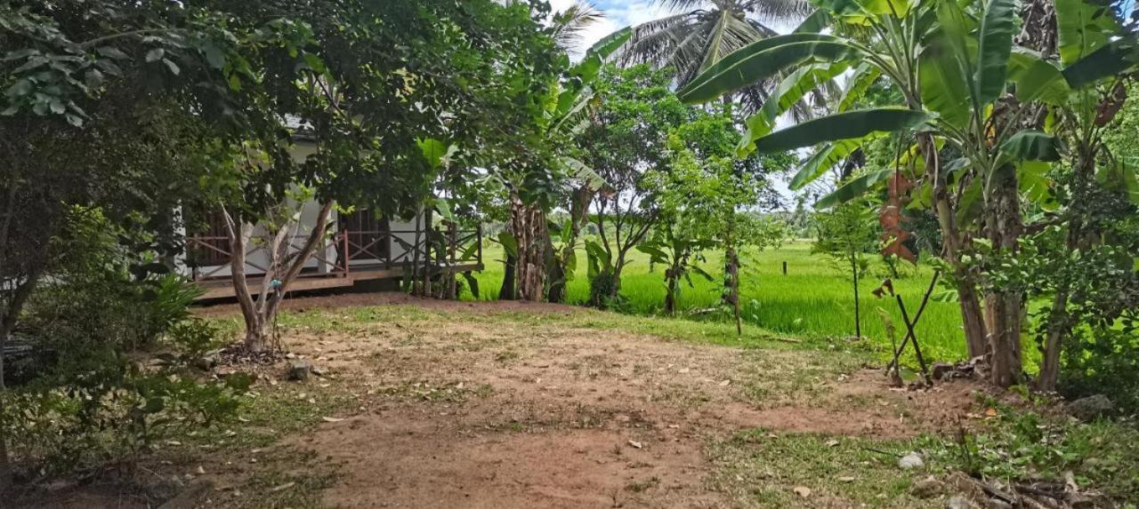 Anuradhapura Hotels Extérieur photo