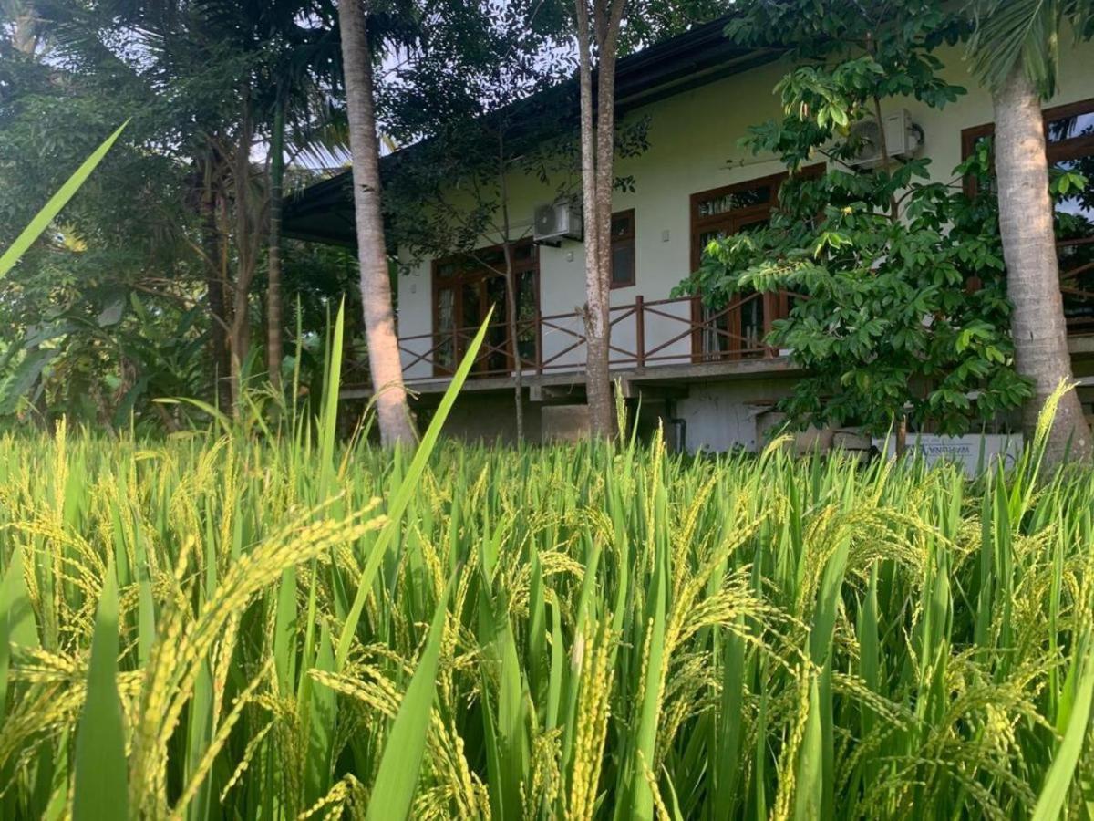 Anuradhapura Hotels Extérieur photo